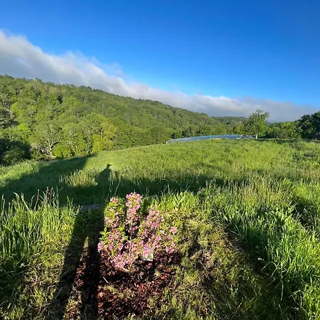 The Combet Farm Exclusive Retreat In Lush Nature Feriehus *
